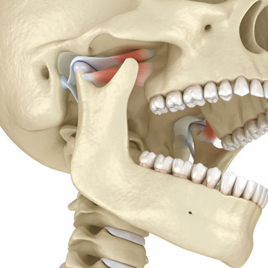 Illustration of human head anatomy, with TMJs highlighted